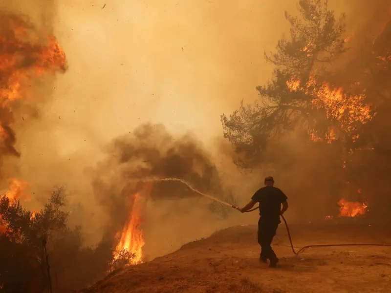 A person uses a hose to put out flames during a wildfire.